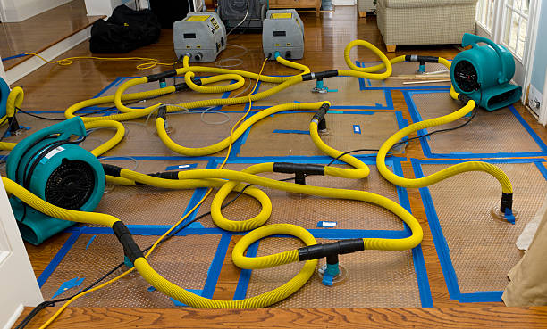 Professional Crawl Space Water Removal technician working in Irene, SD